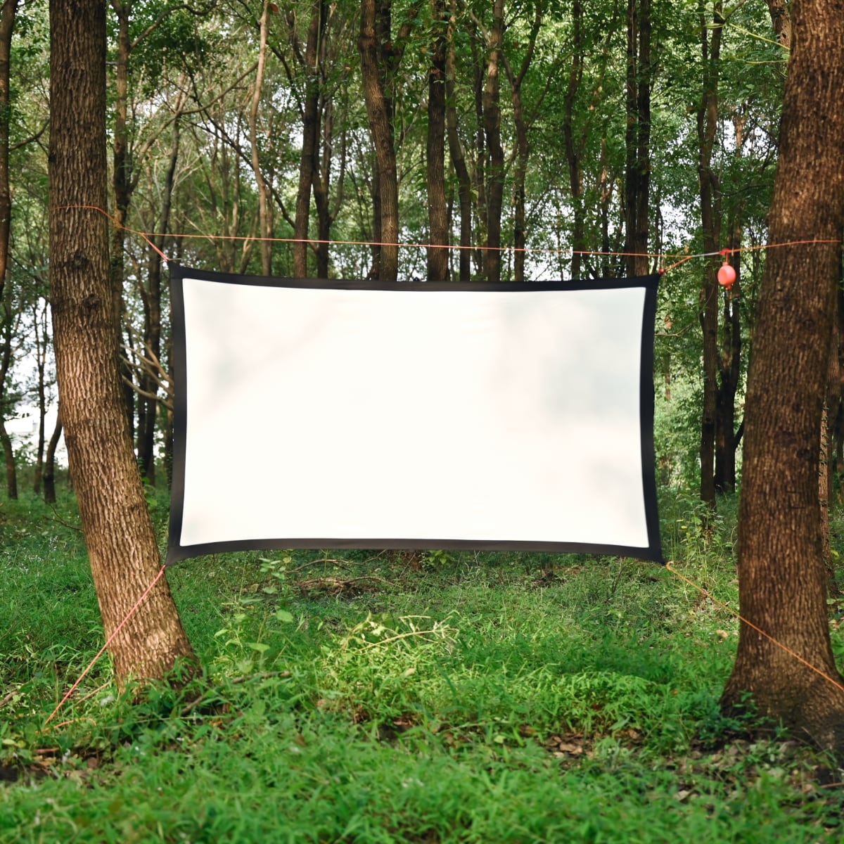 outdoor projector screen |Onewind Outdoors